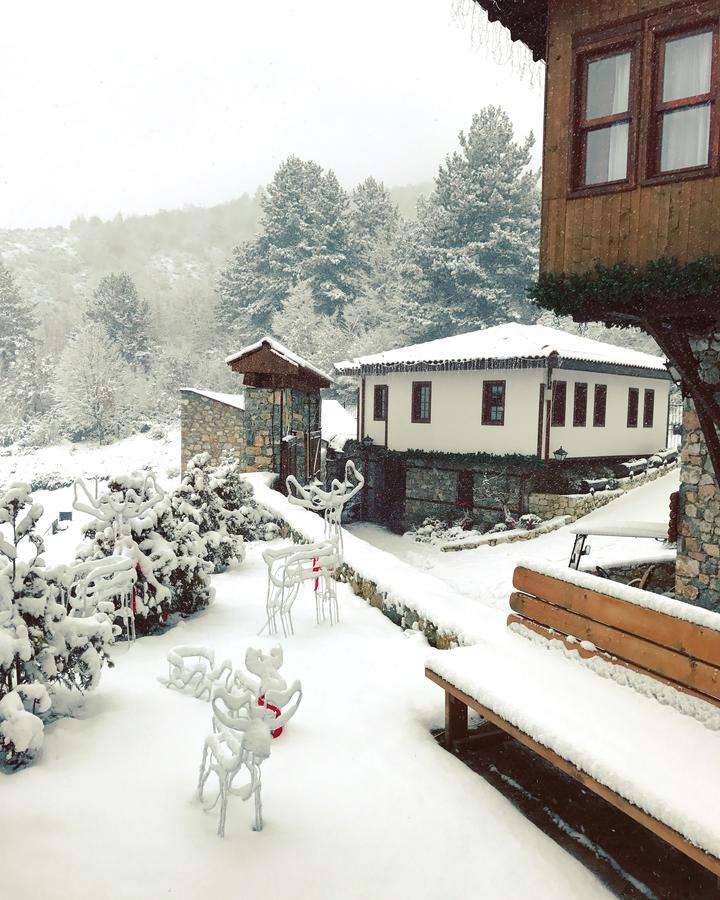 Macedonian Village Hotel & Resort سكوبجي المظهر الخارجي الصورة